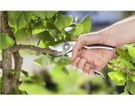 Pruners - Saws